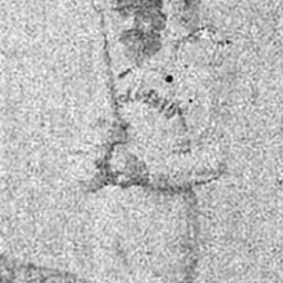 Portrait of Lou Sylvester