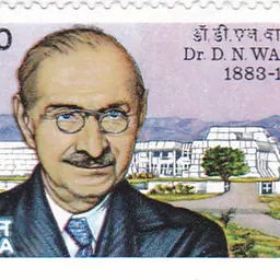 Portrait of Darashaw Nosherwan Wadia