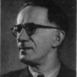 Portrait of Siniša Stanković
