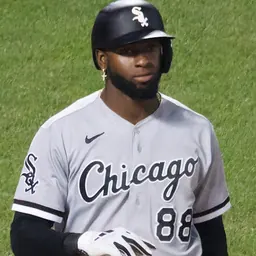Portrait of Luis Robert Jr.
