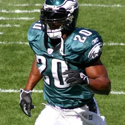 Portrait of Brian Dawkins