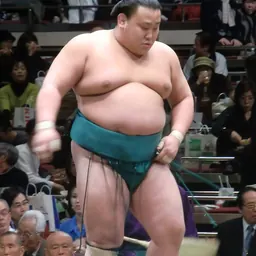 Portrait of Kōta Asahishō