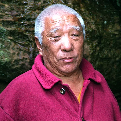 Portrait of Khenpo Tsultrim Gyamtso Rinpoche