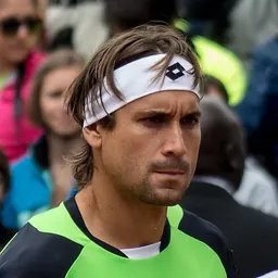 Portrait of David Ferrer