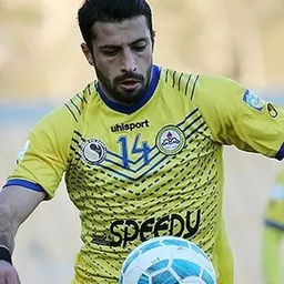 Portrait of Saeid Lotfi