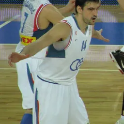 Portrait of Dalibor Bagarić