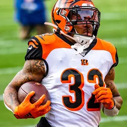 Portrait of Trayveon Williams