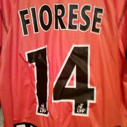 Portrait of Fabrice Fiorèse