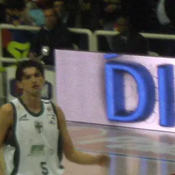 Portrait of Nikola Radulović
