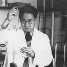 Portrait of Wang Yinglai