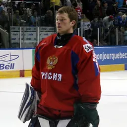 Portrait of Mikhail Biryukov