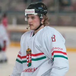 Portrait of Krisztián Nagy