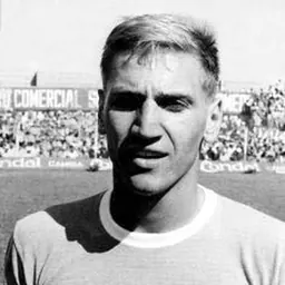 Portrait of Enzo Trossero