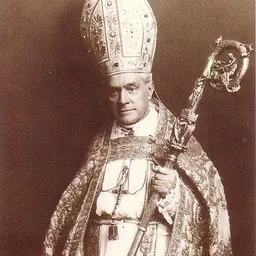 Portrait of Enrique Reig y Casanova