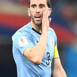 Portrait of Diego Godín