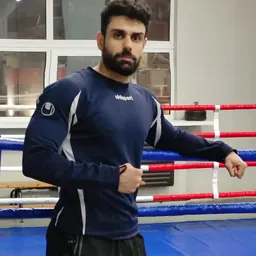 Portrait of Navid Abdolmaleki