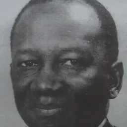 Portrait of Joseph Oliver Bowers