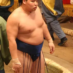 Portrait of Kakuryū Rikisaburō