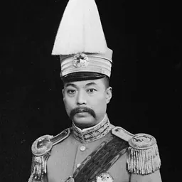 Portrait of Zhang Shaozeng