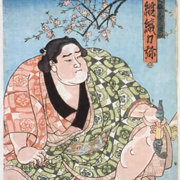 Portrait of Hiodoshi Rikiya