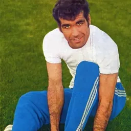 Portrait of Majid Halvaei