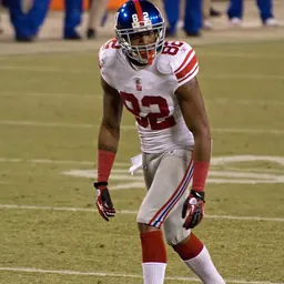 Portrait of Mario Manningham