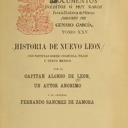 Portrait of Alonso Perez de Leon