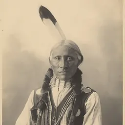 Portrait of White Buffalo