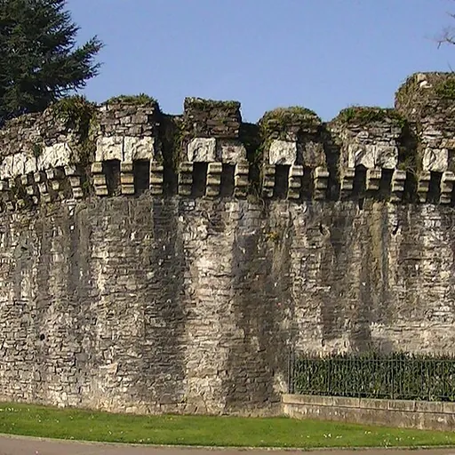Portrait of Alan III of Nantes