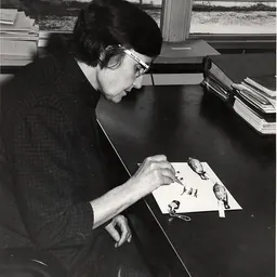 Portrait of Roxie Collie Laybourne