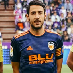 Portrait of Dani Parejo