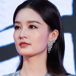 Portrait of Li Qin