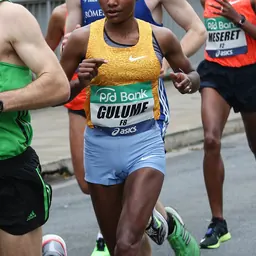 Portrait of Gulume Tollesa