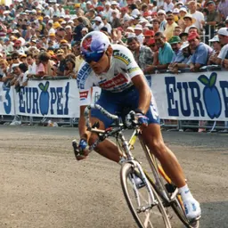 Portrait of Claudio Chiappucci
