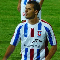 Portrait of Zoran Ljubinković