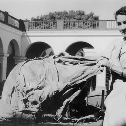Portrait of Rebeca Carrión Cachot