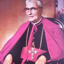 Portrait of Mariano Rossell y Arellano