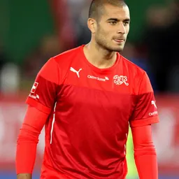 Portrait of Eren Derdiyok