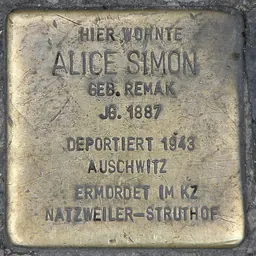 Portrait of Alice Simon