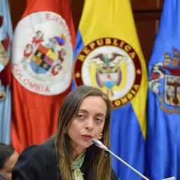 Portrait of Ana Paola Agudelo García