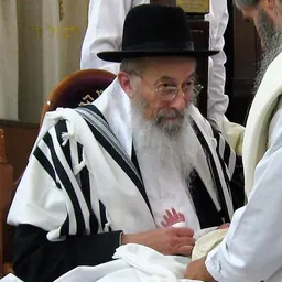 Portrait of Zvi Israel Tau