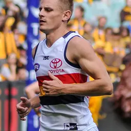 Portrait of David Mackay