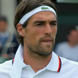 Portrait of Jérémy Chardy