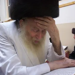 Portrait of Naftali Tzvi Labin of Ziditshov