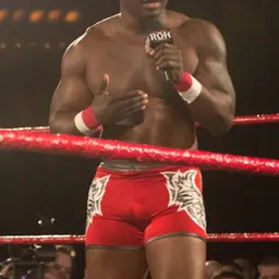 Portrait of Shelton Benjamin