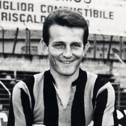 Portrait of Paolo Signorelli