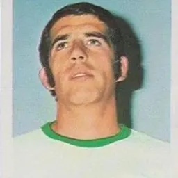 Portrait of José Vantolrá