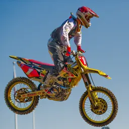 Portrait of Chad Reed