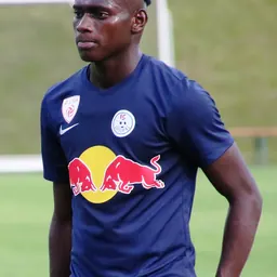 Portrait of Ousmane Diakite