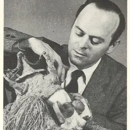 Portrait of Harry Bober